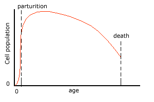 cell populations over lifetime